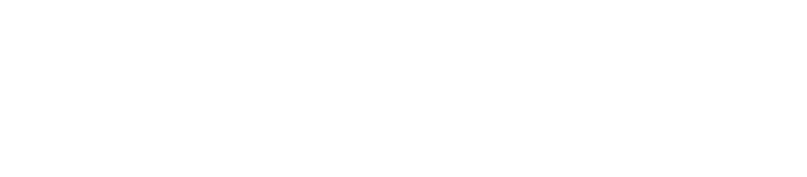 vittis logo